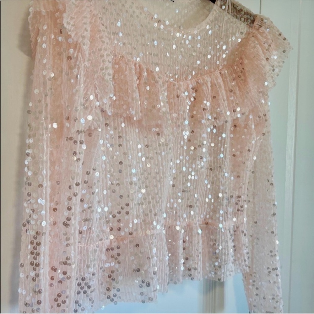 Zara Petal Pink Sequin Ruffle Blouse Medium Party Date Holidays